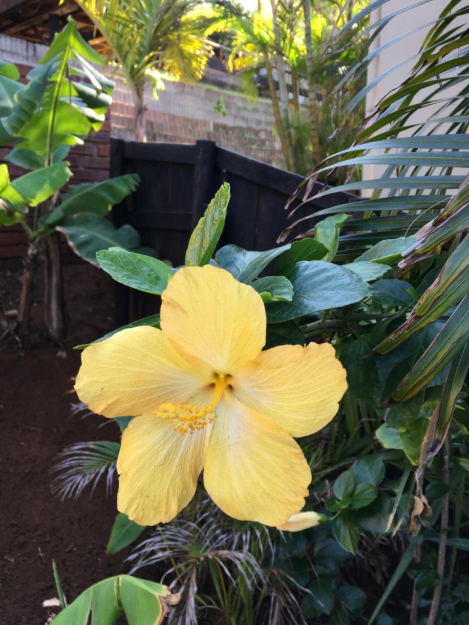 Ansteys Self Catering Durban